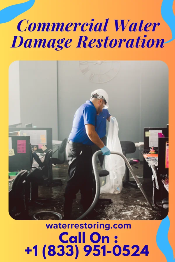 Commercial Water Damage Restoration in Woodland Park, CO